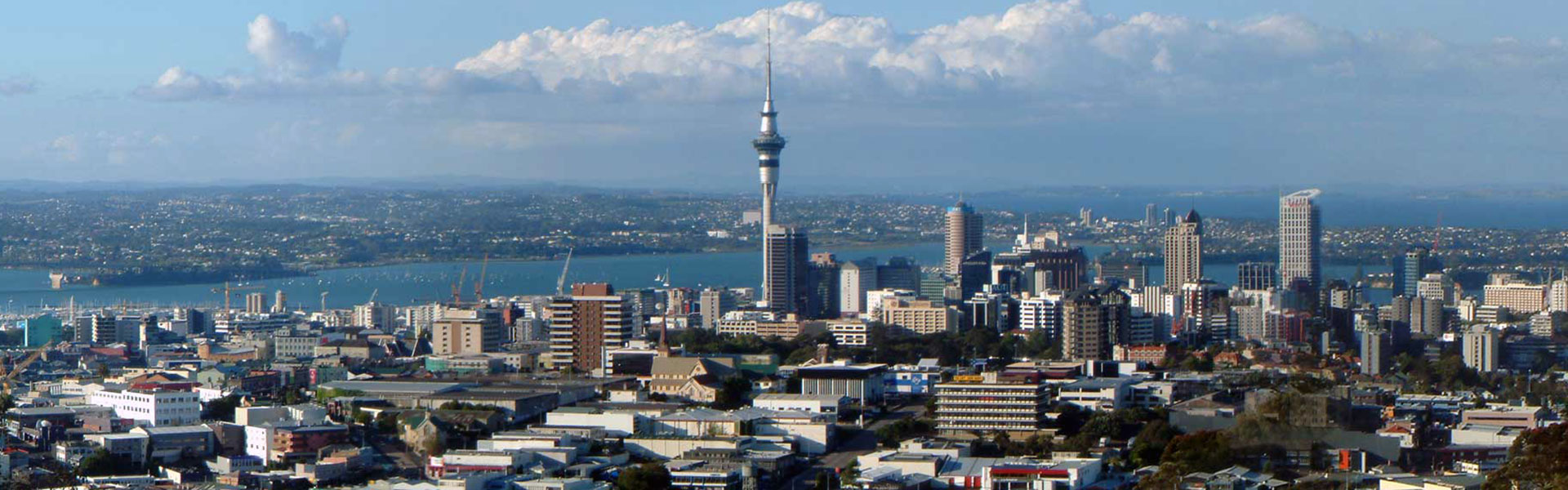 Start a business in New Zealand